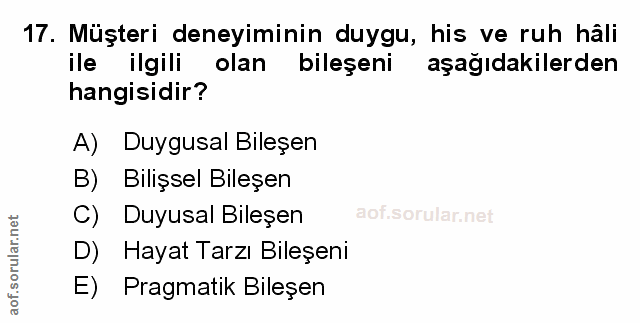 Soru 17