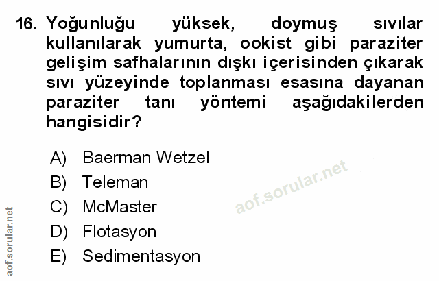 Soru 16