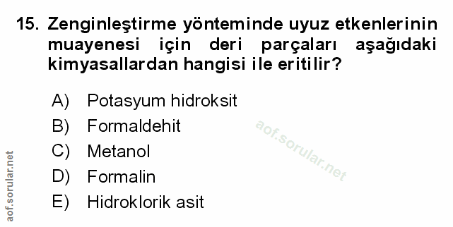 Soru 15