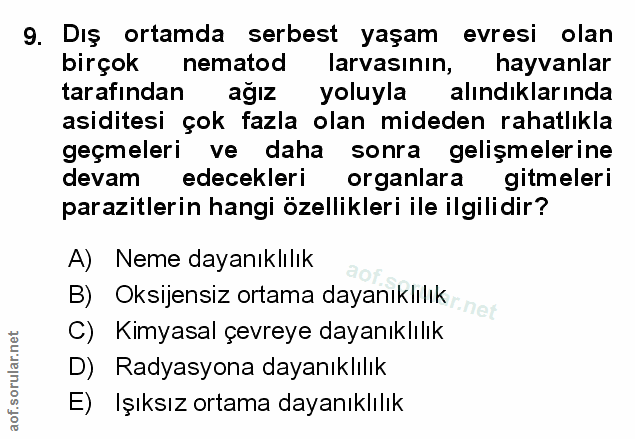 Soru 9