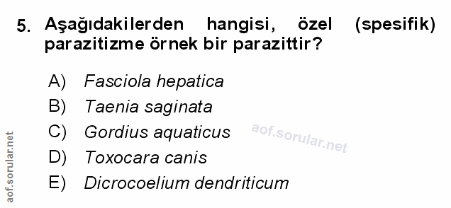 Soru 5