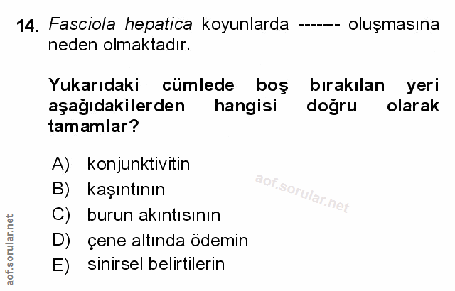 Soru 14