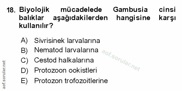 Soru 18