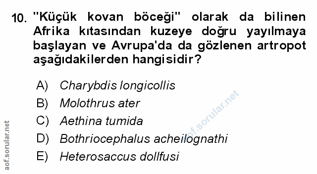 Soru 10