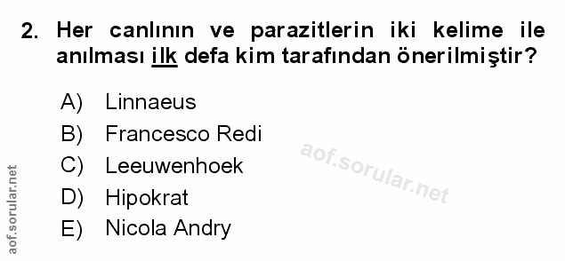 Soru 2