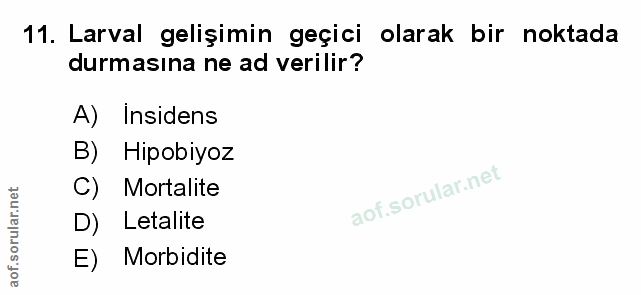 Soru 11