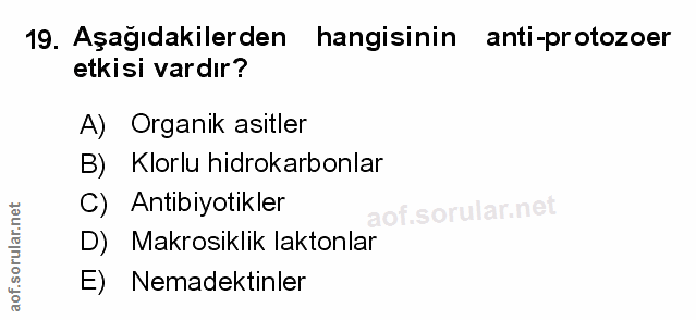 Soru 19