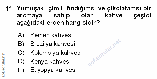 Soru 11