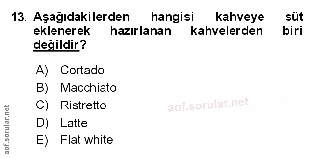 Soru 13