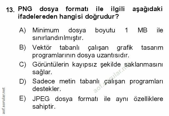Soru 13