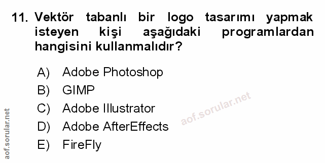Soru 11