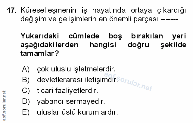 Soru 17