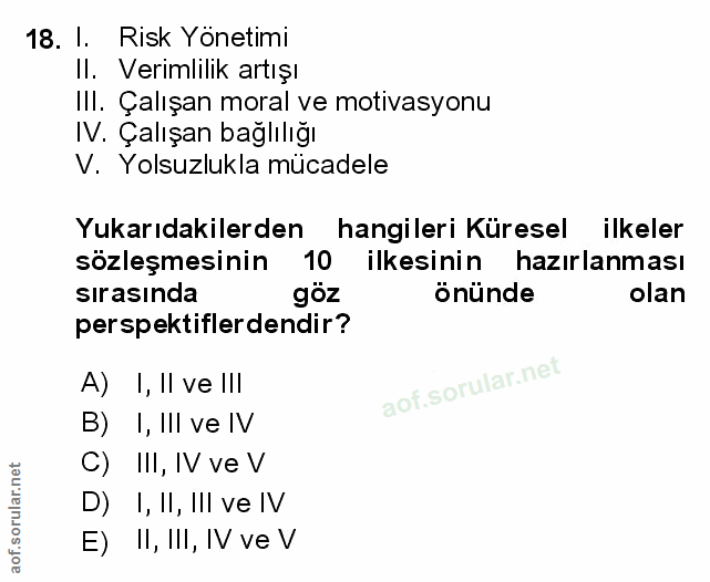 Soru 18