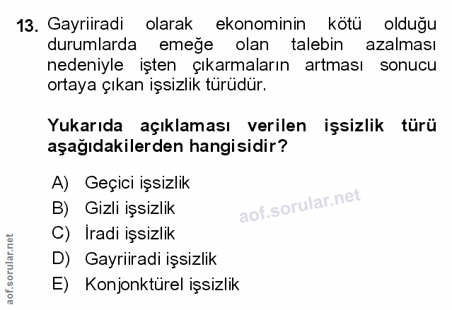 Soru 13