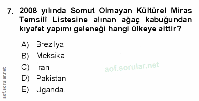 Soru 7