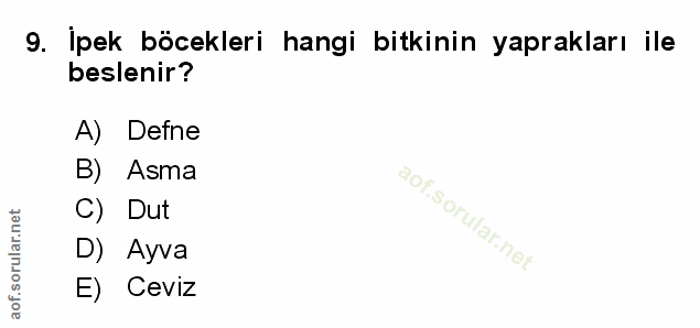 Soru 9