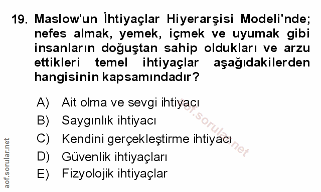 Soru 19