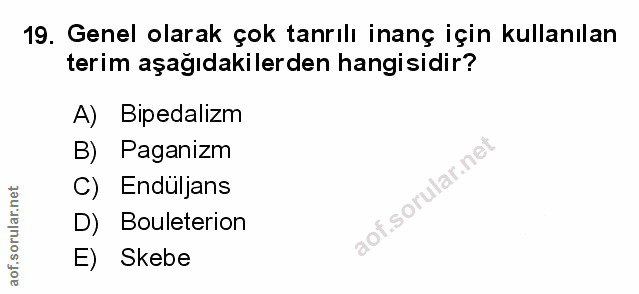 Soru 19