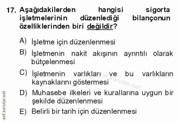 Soru 17