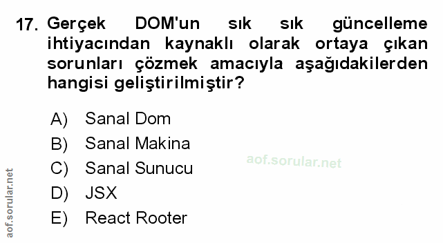 Soru 17