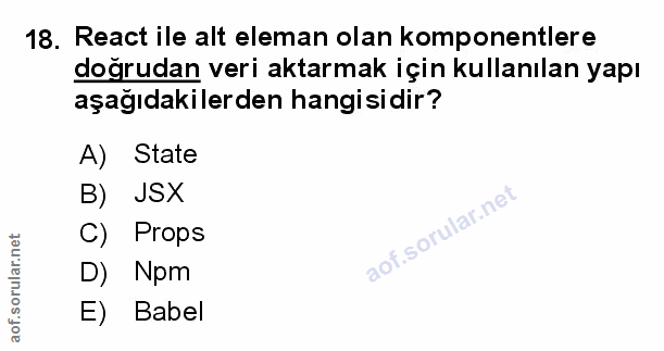 Soru 18
