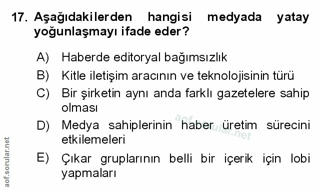 Soru 17