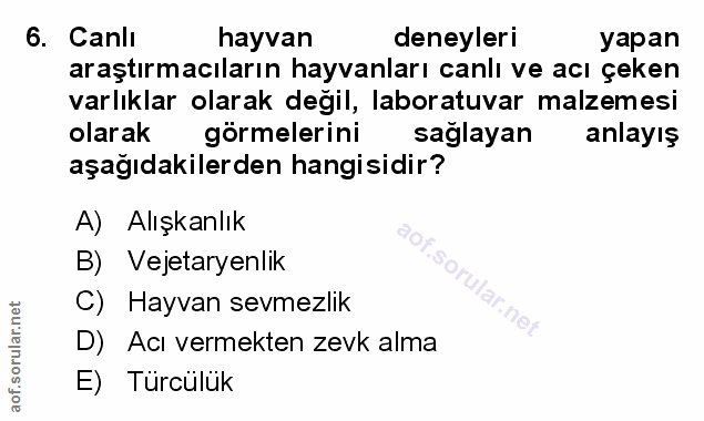 Soru 6