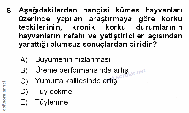 Soru 8