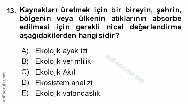 Soru 13