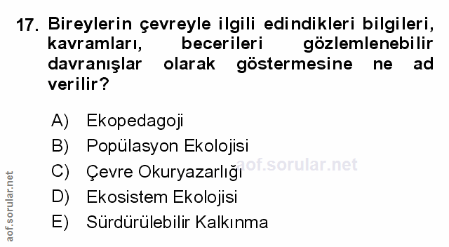 Soru 17