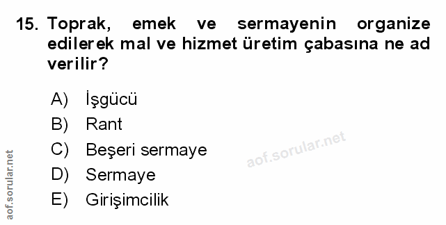 Soru 15