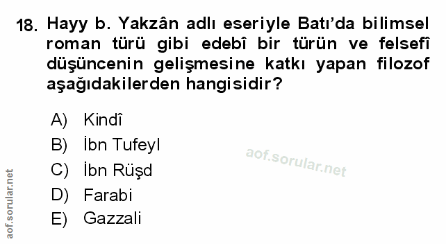 Soru 18