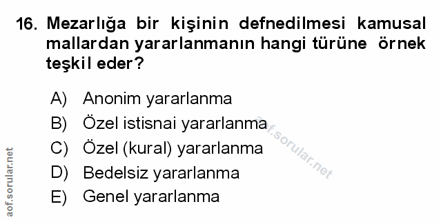 Soru 16