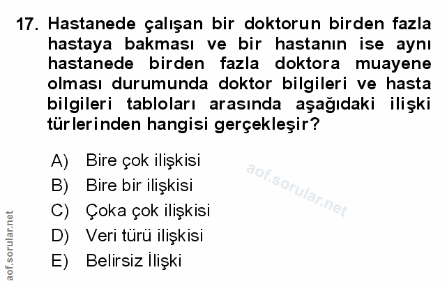 Soru 17
