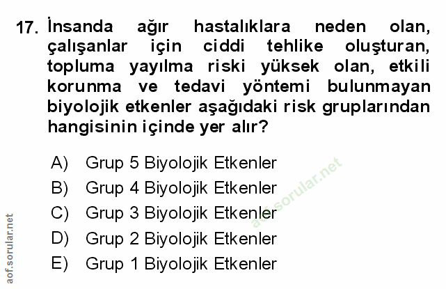 Soru 17