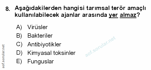 Soru 8