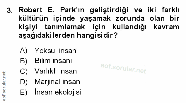 Soru 3