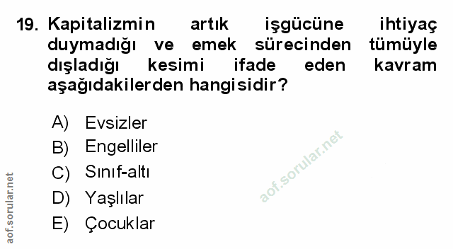 Soru 19