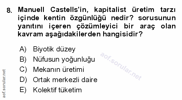 Soru 8