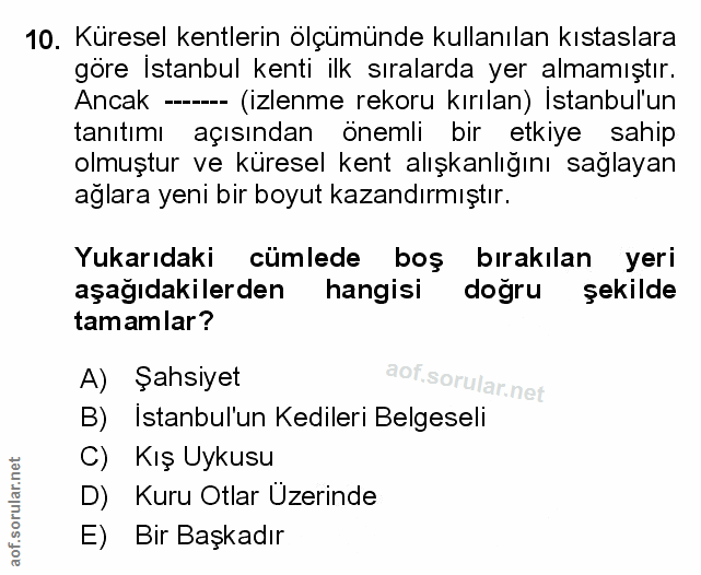 Soru 10