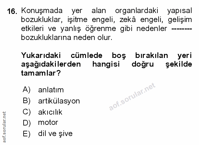 Soru 16