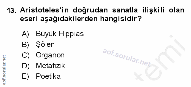 Soru 13