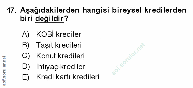 Soru 17