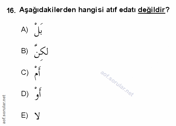 Soru 16
