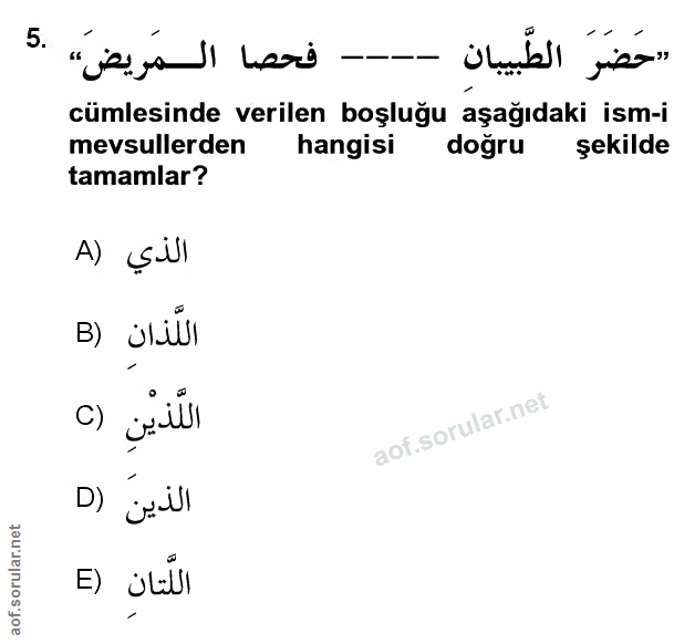 Soru 5