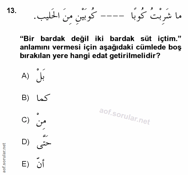 Soru 13