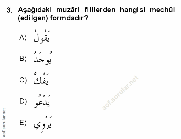 Soru 3