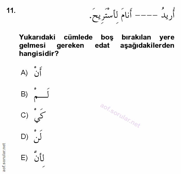 Soru 11