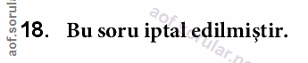 Soru 18