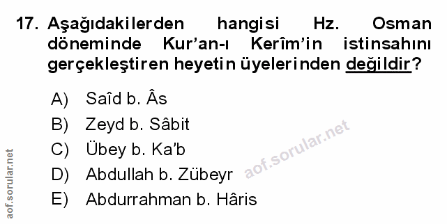Soru 17